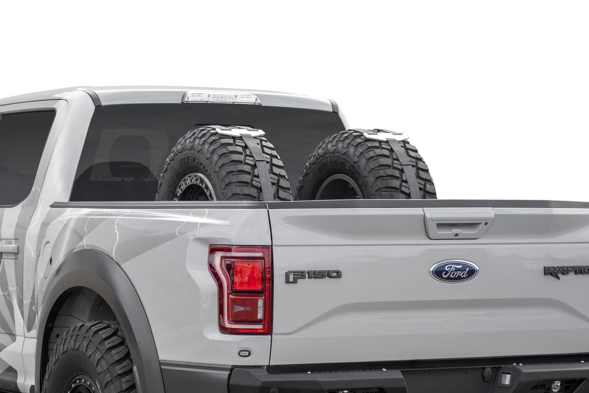 Full-size, Mid-size Trucks Tire Carrier - Addictive Desert Designs T99918NA01NA - view 9