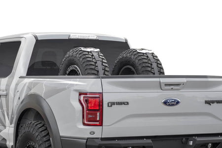 Full-size, Mid-size Trucks Tire Carrier - Addictive Desert Designs T99918NA01NA - view 9