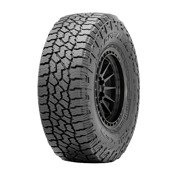Falken WILDPEAK A/T4W tire